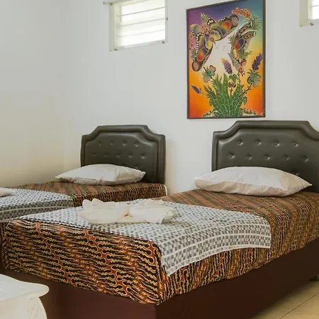 Mi Casa Es Tu Casa House-3